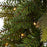 Christmas Tree Artificial Pop Up Pre-lit LED 180 Lights Warm White Indoor 6ft - Image 4