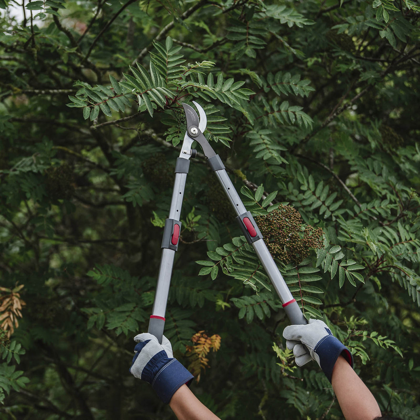 Kent & Stowe Garden Bypass Telescopic Loppers - Image 2