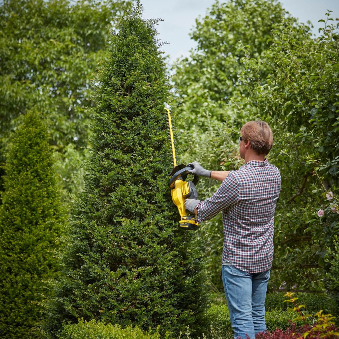 Stanley Pole Hedge Trimmer Cordless 18V 4Ah Li-Ion SFMCHT855M1-GB 55cm Cutter - Image 2