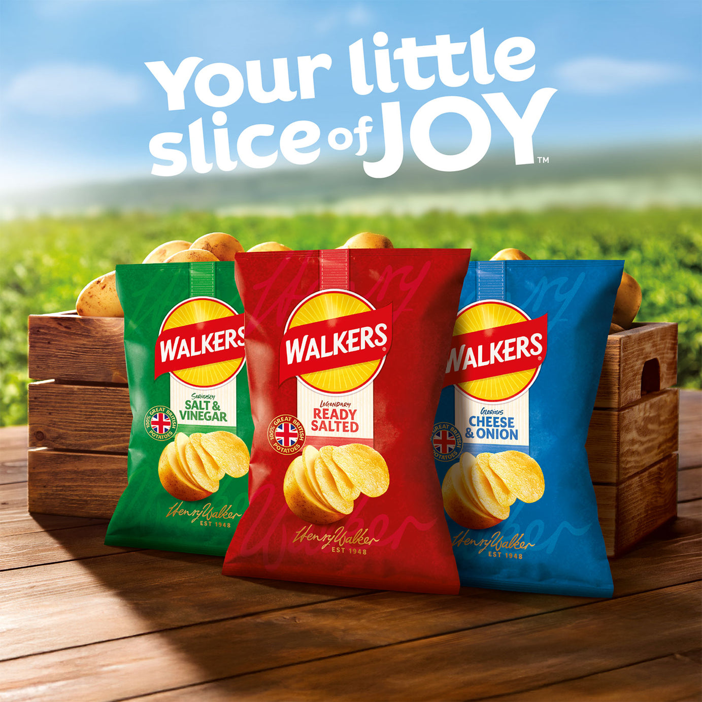 Walkers Crisps Ready Salted Sharing Pack 32 x 45g - Image 7