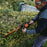 Worx Hedge Trimmer Cordless WG261E.9 45cm Garden Branch Cutter 20V Body Only - Image 4